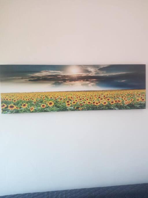 칼리아리 Il Girasole 아파트 외부 사진